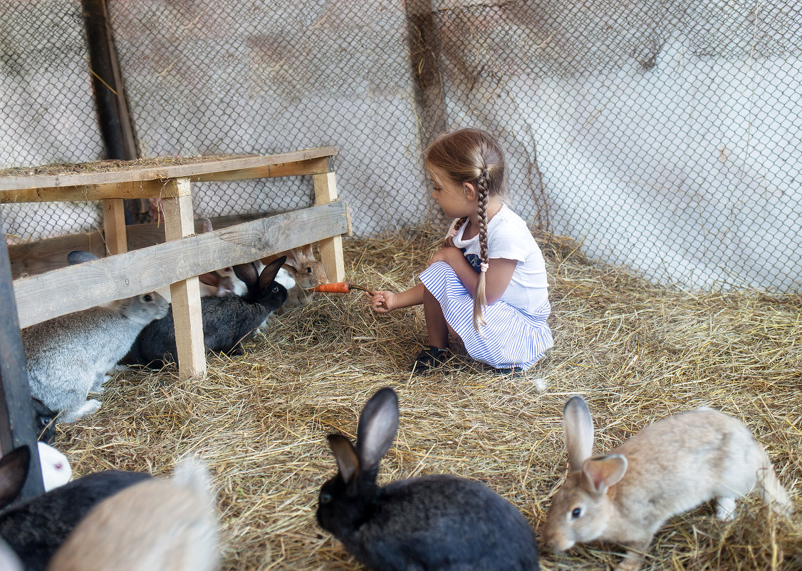 Очередь за морковкой. - Ирина Будагова