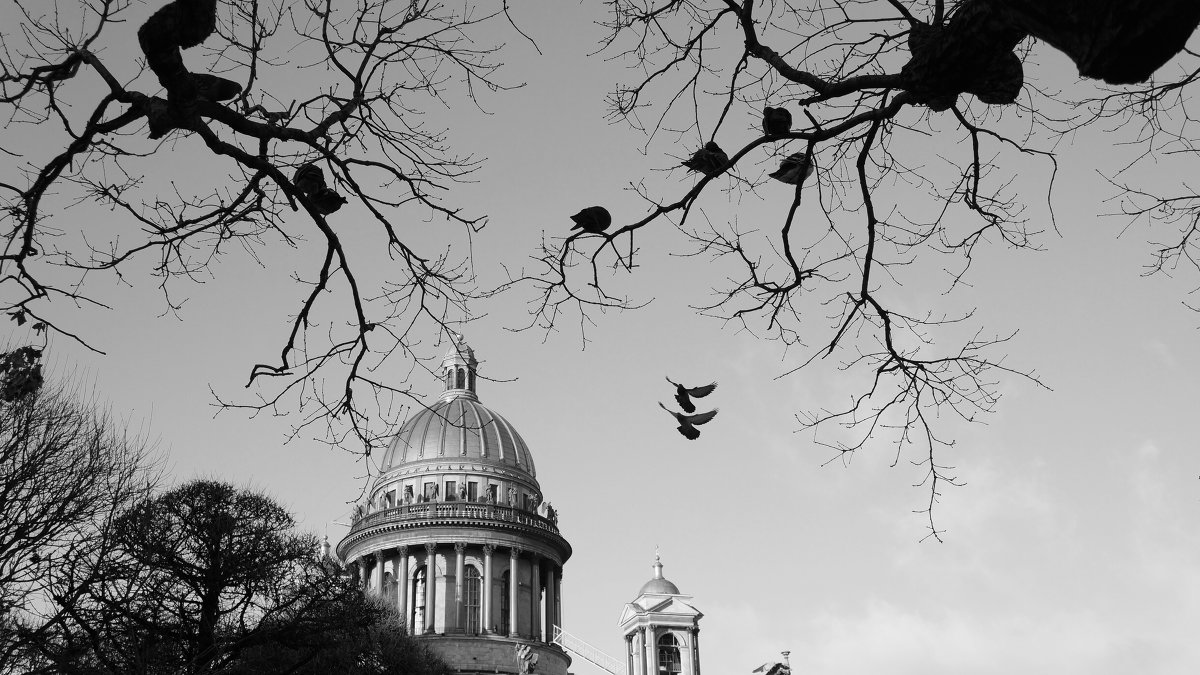 Пара - Анна Семёнова