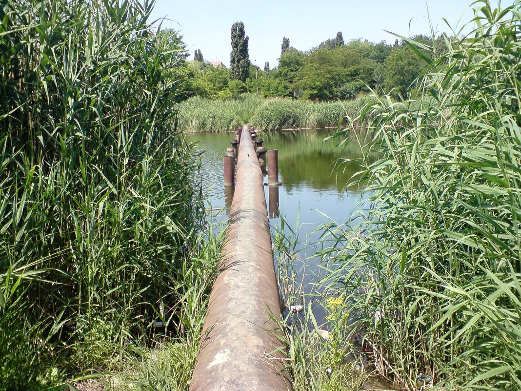 ... - ВЛАДИМИР Бойко