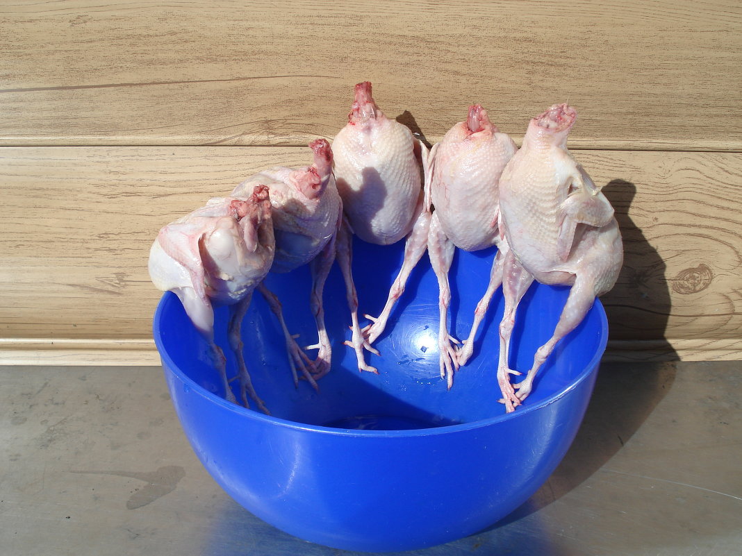 ... - Олег ... - Олег