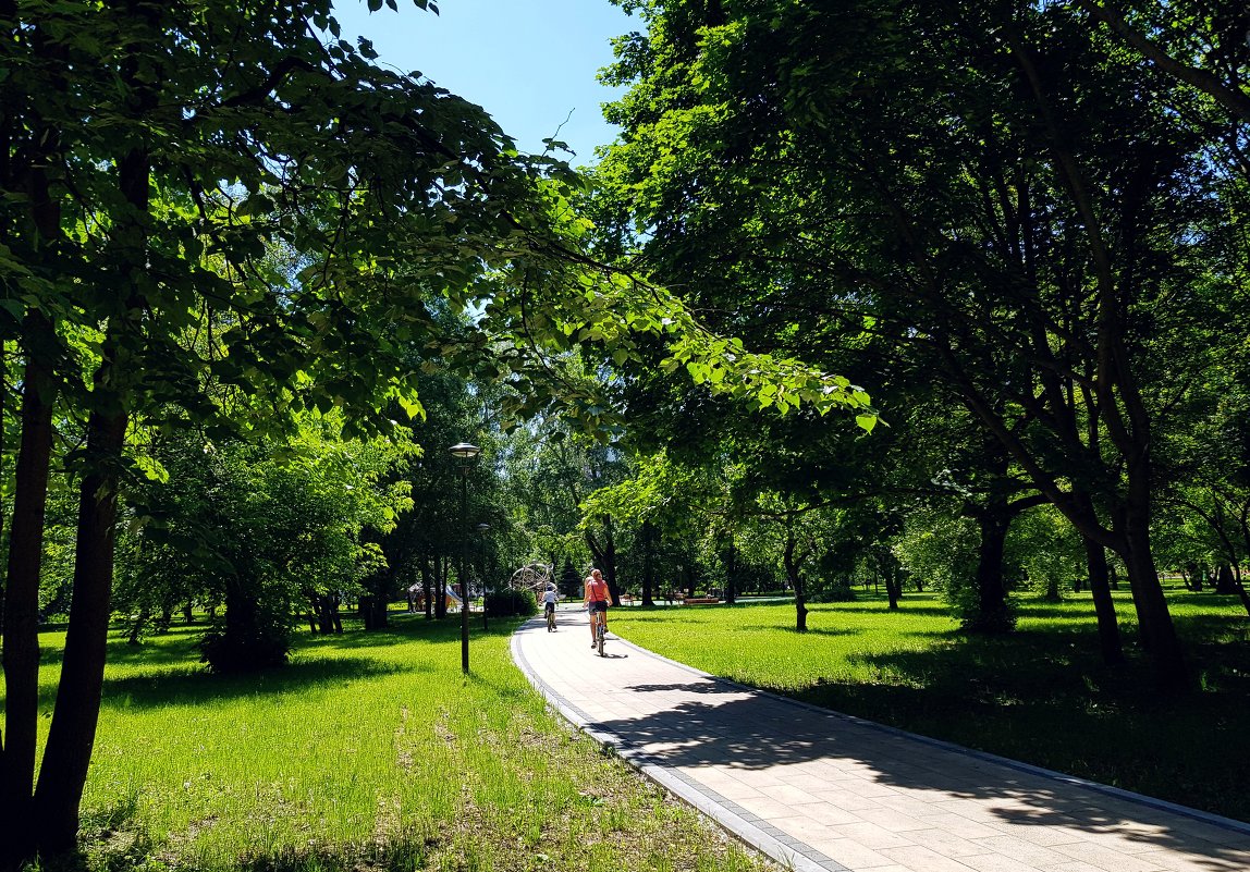 Летний день в парке - Генрих 