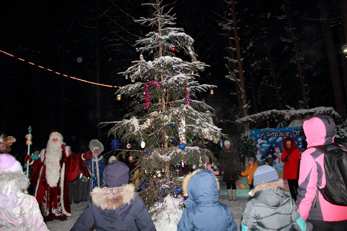Новый год встречаем дружно! - Наталья Воронцова