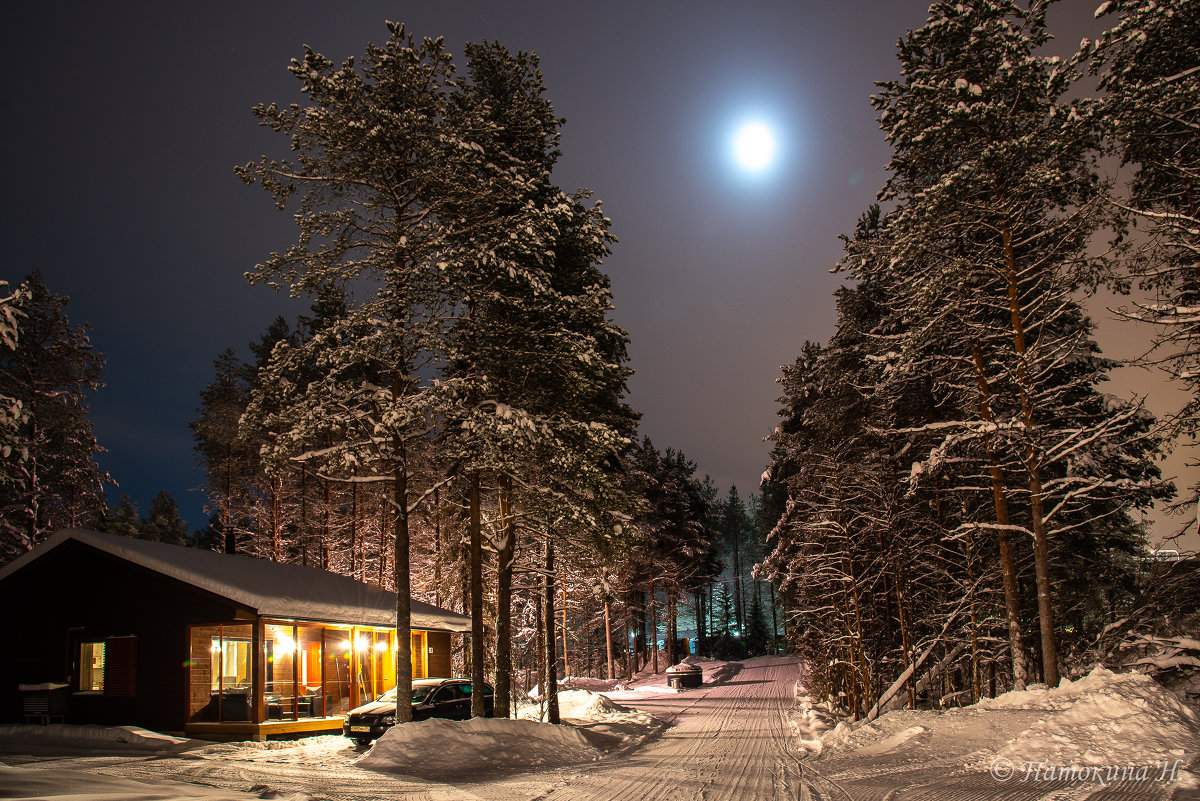 Зима - Наталья Патокина