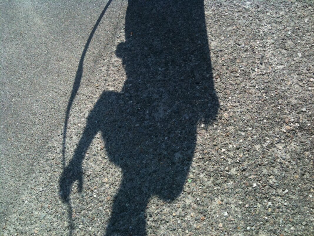 Тени войны - Сергей Якуцени