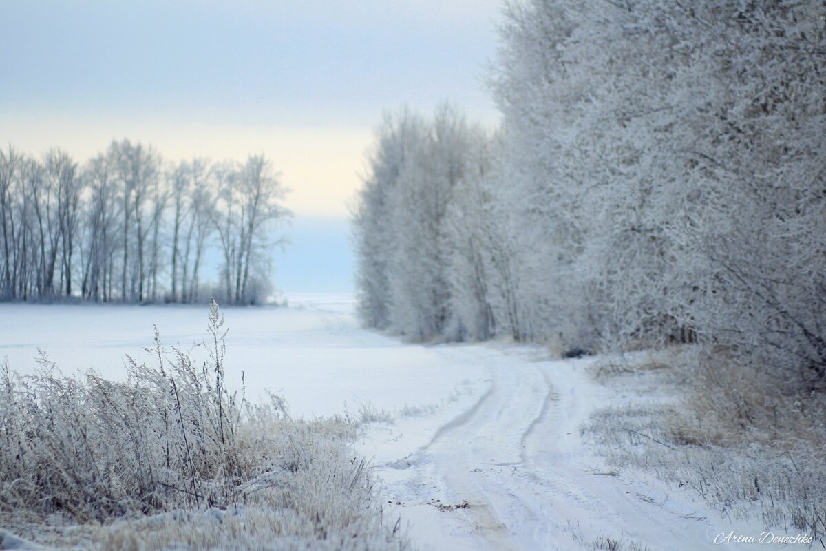 Дорога в сказку - Арина 