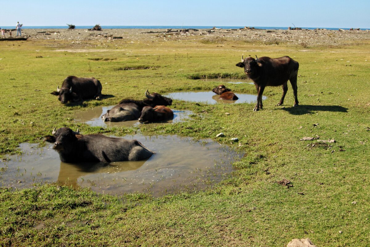 Водные процедуры - Елена 