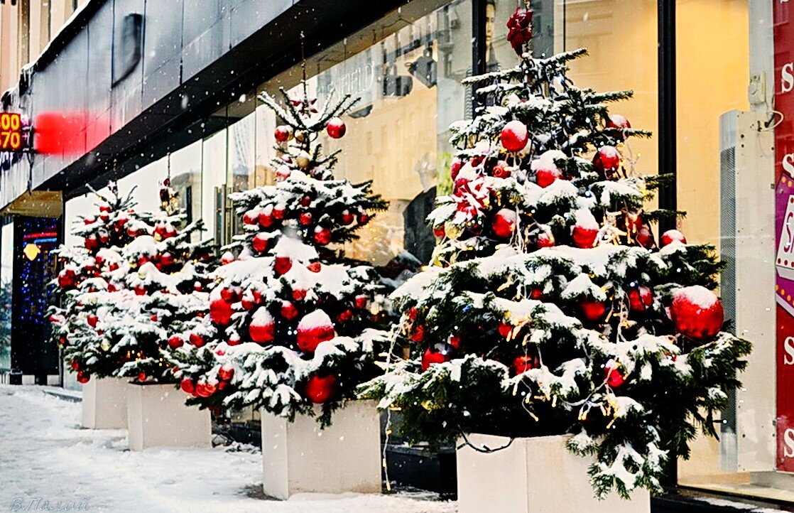 Новогодний прикид. - Василий Палий