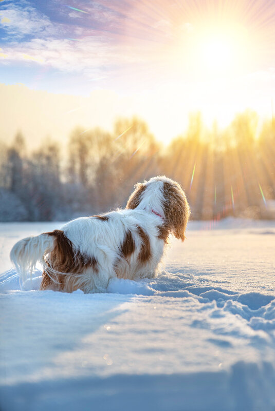 ... - Любовь Перевозникова ... - Любовь Перевозникова