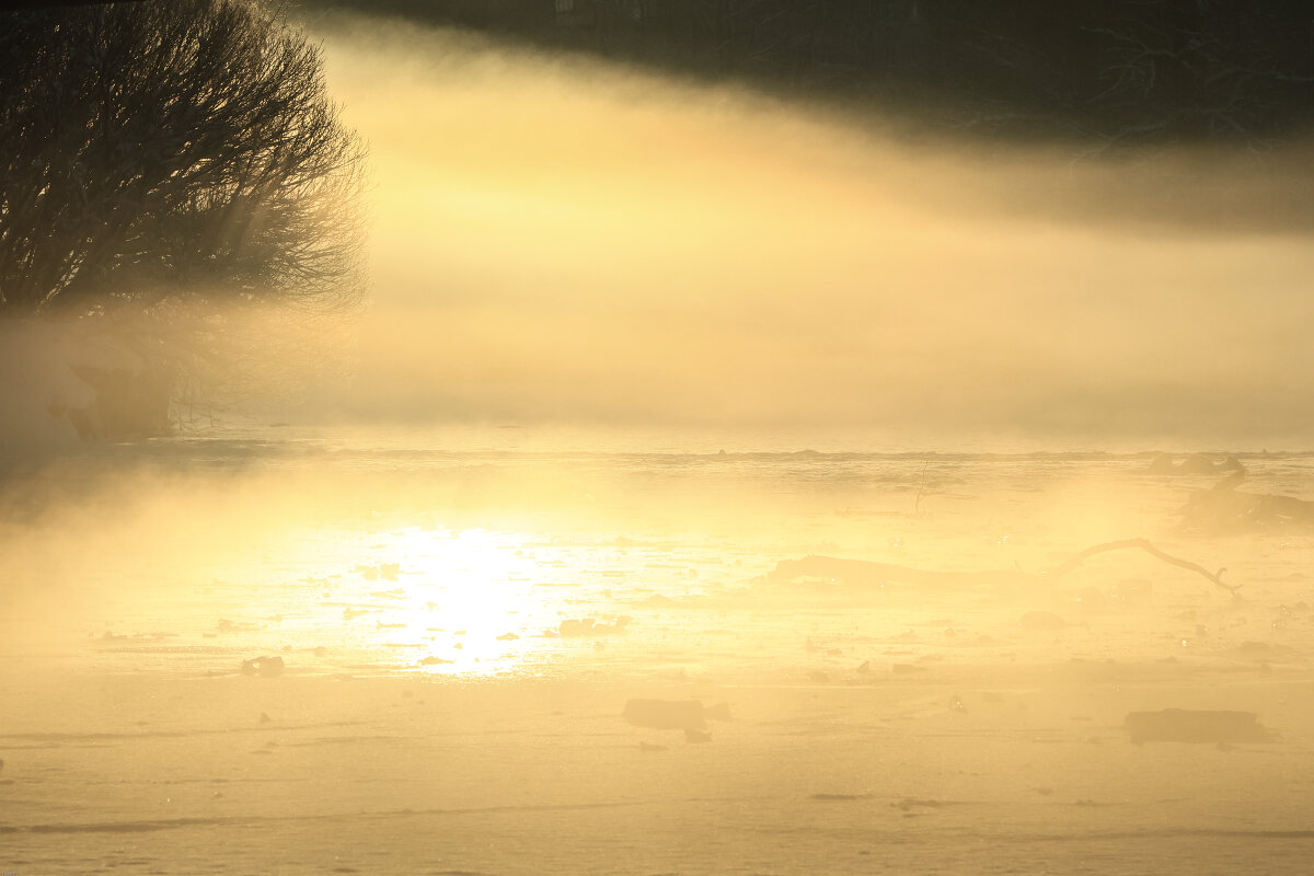 золотой свет - Vlad Krrr золотой свет - Vlad Krrr