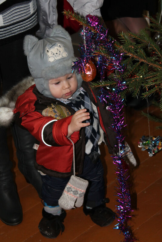 Восторг и удивление! - Людмила Павловна Крышковец