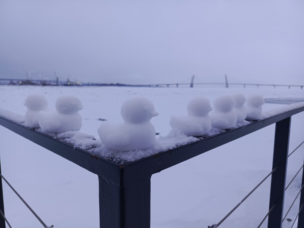 Кря-кря - Ольга Кубынина