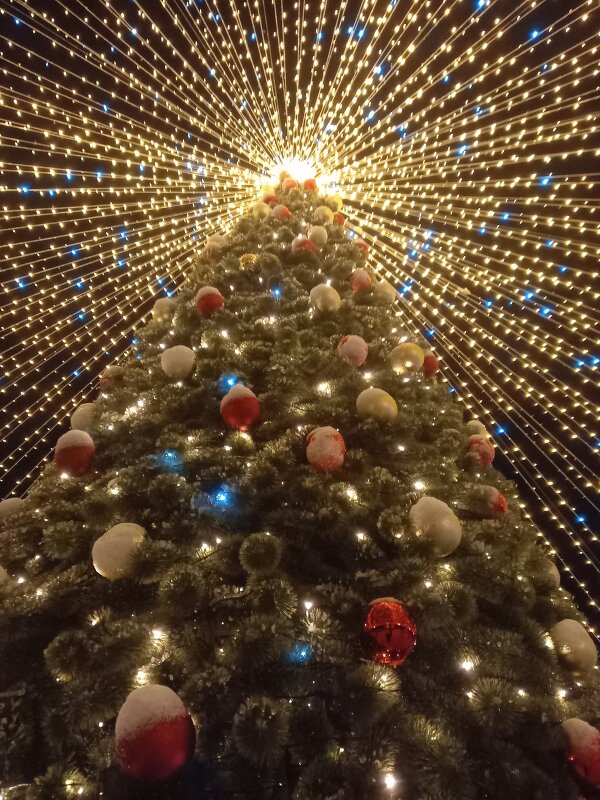 Новый год - BoxerMak Mak