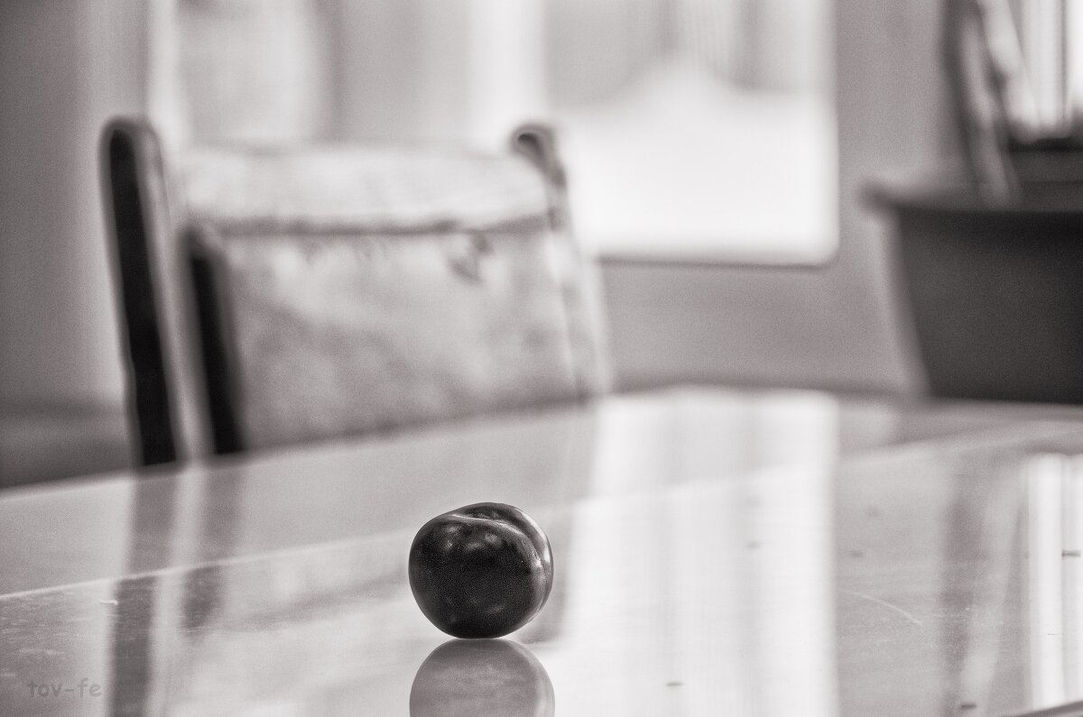 Одинокая слива - Олег Терёхин