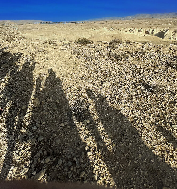 ... - Алексей Патлах