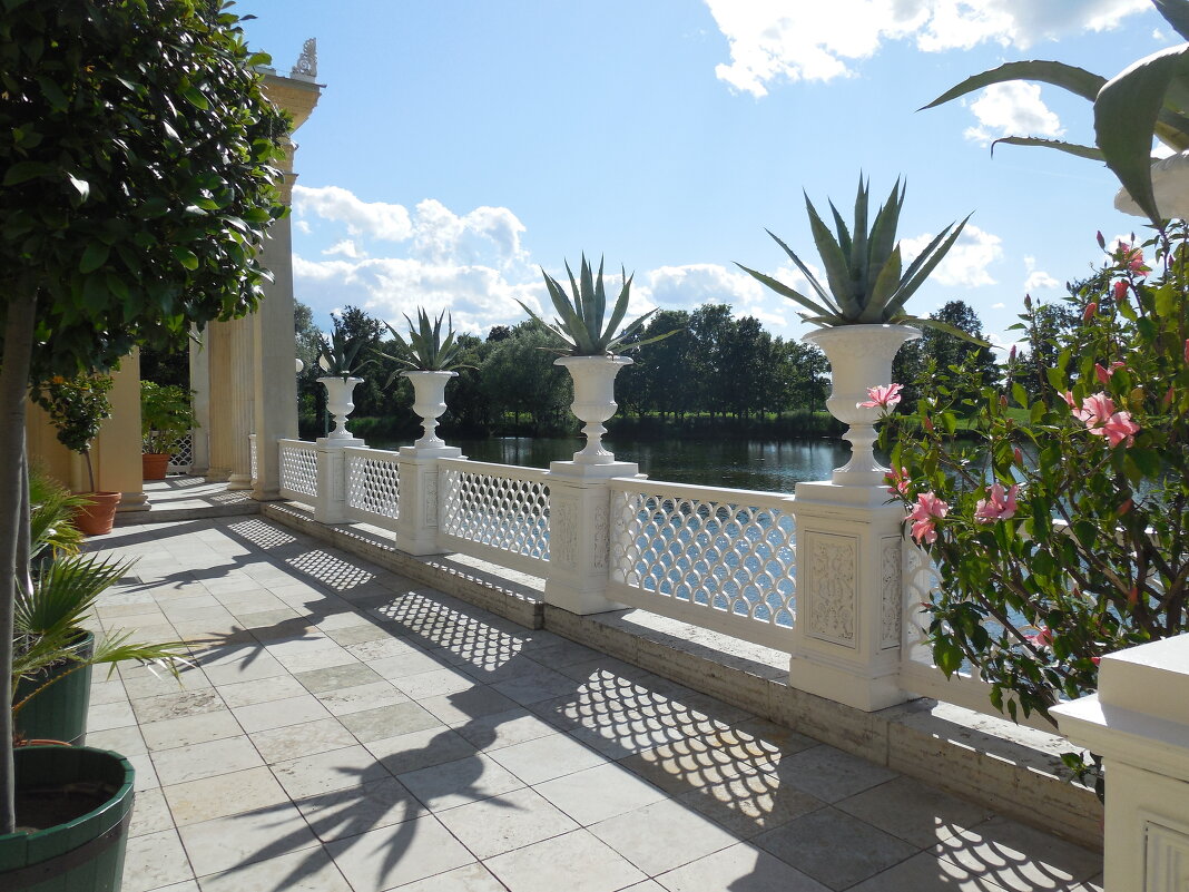 Тени - Надежда 