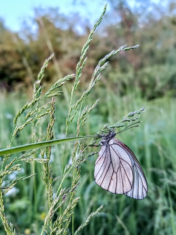 Держусь крепко! - Ирина *