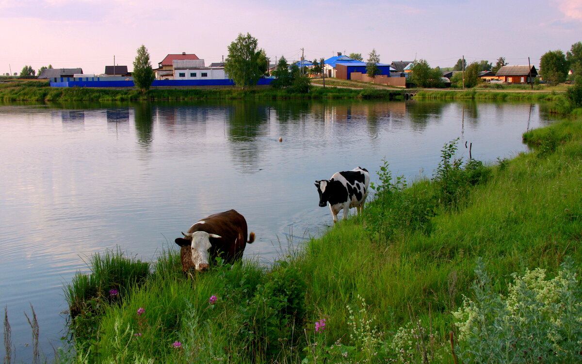 Лето в деревне - Нэля Лысенко
