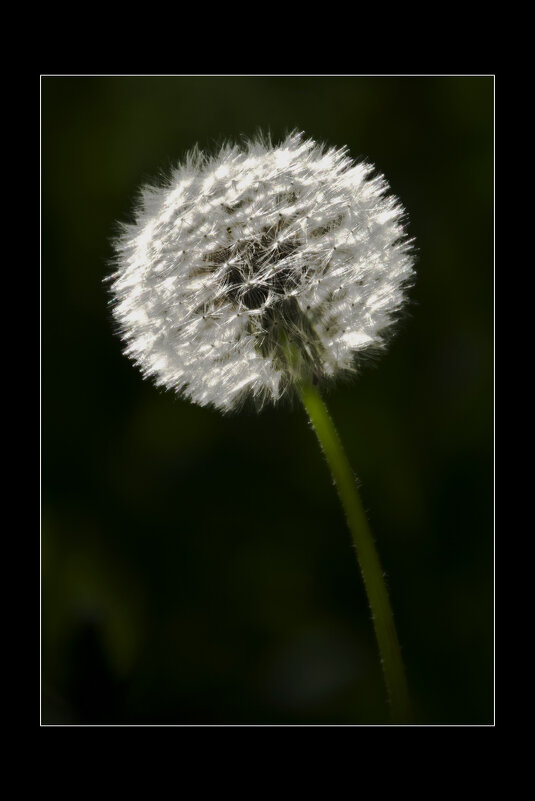 ... - Валерий Гнездилов 