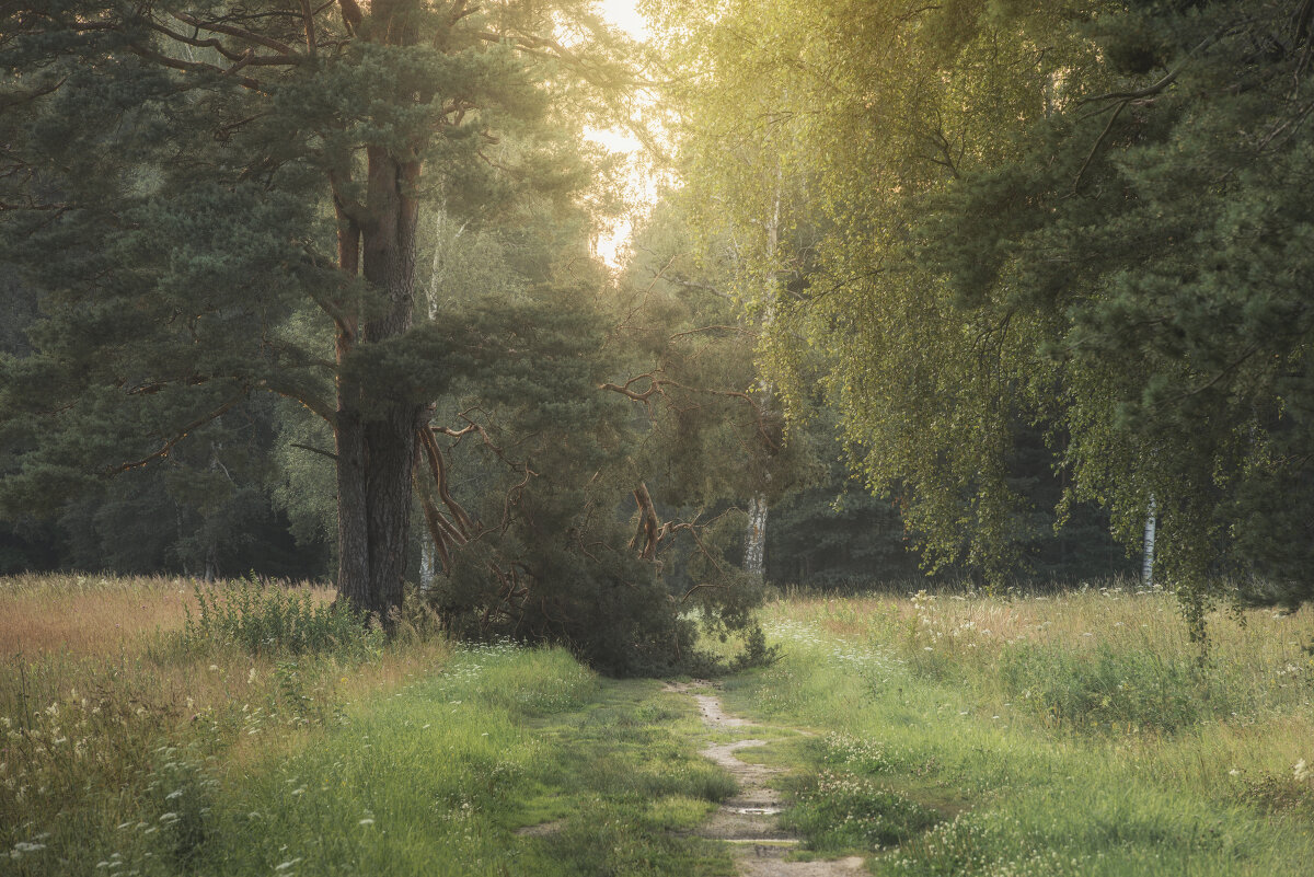 ... - Максим Вышарь