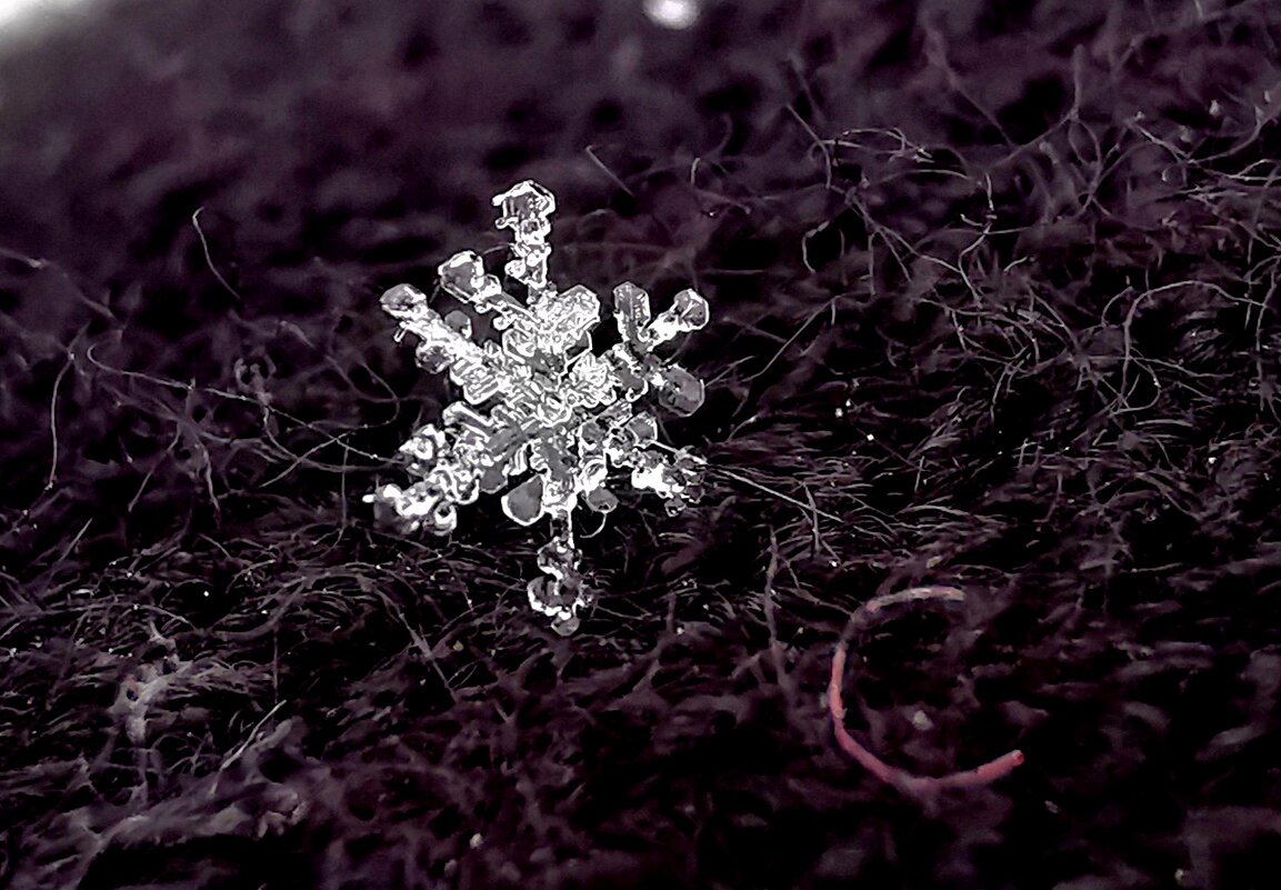 Ледяная симметрия - Александра В. Ледяная симметрия - Александра В.