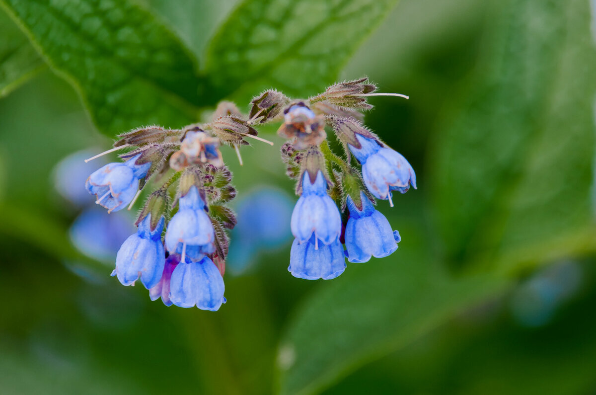 ... - Жора Житников