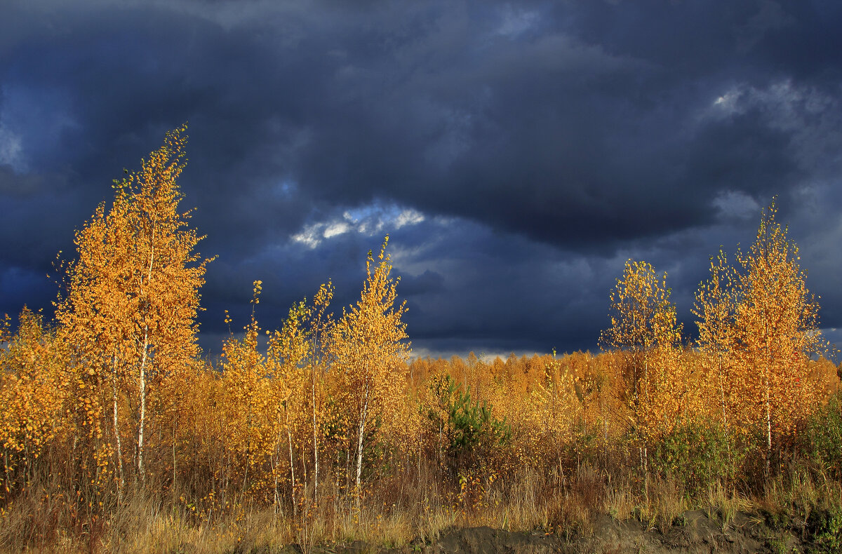 Осень :: Oleg S