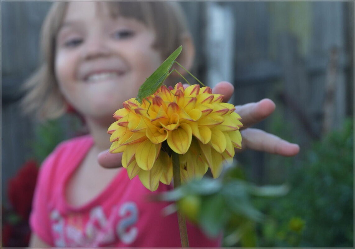 Встреча с зелёным кузнечиком. - Анатолий Пашковский