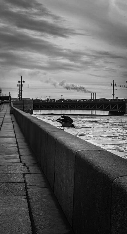 1 - Анастасия Верушкина