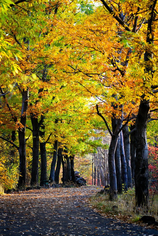 дорога осени - KanSky - Карен Чахалян