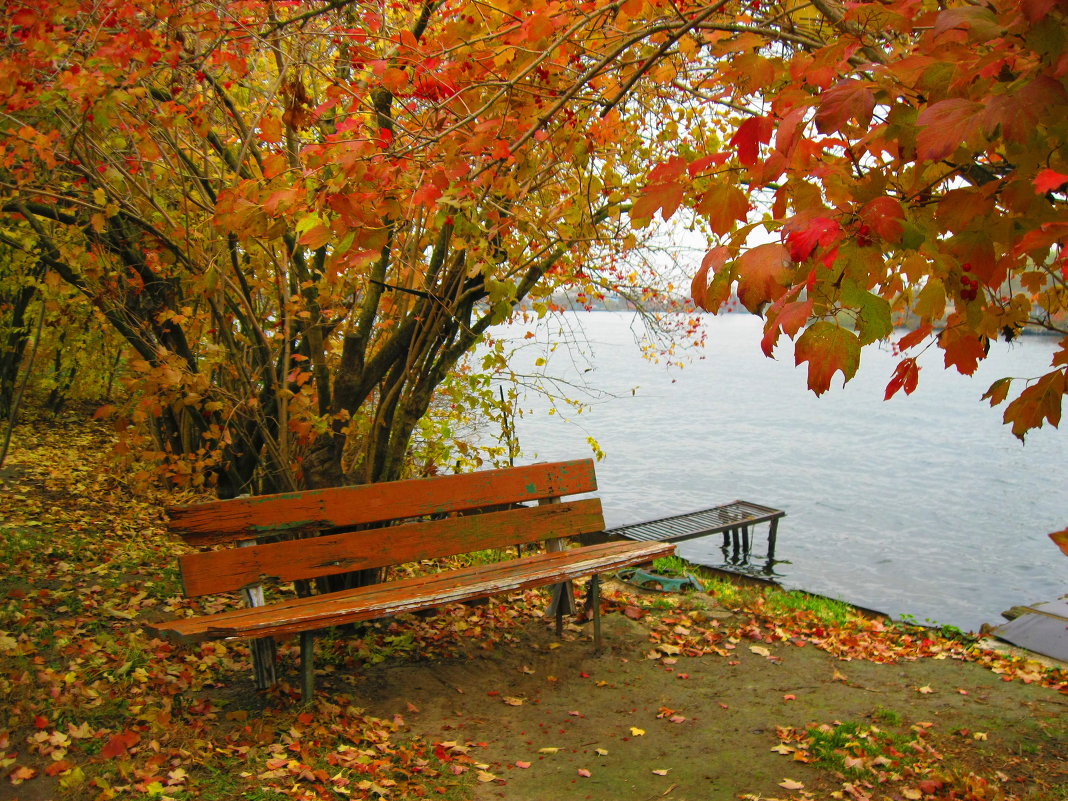 ожидание - Аня Бахмач