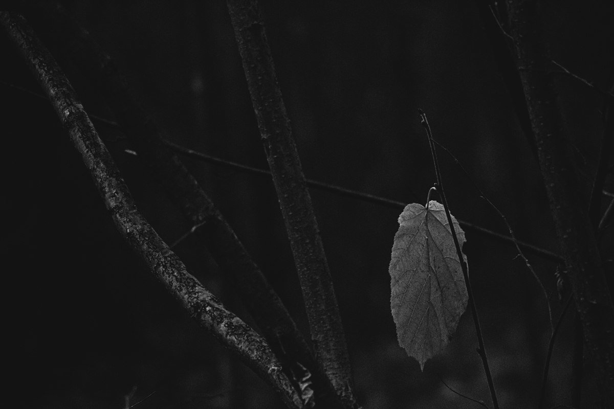 Последний - Денис Тарасов