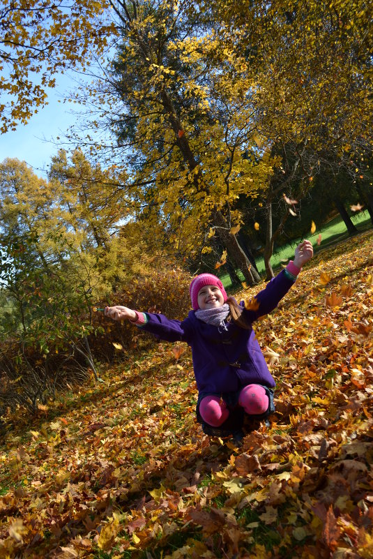 Осенний восторг - Veronika Осенний восторг - Veronika