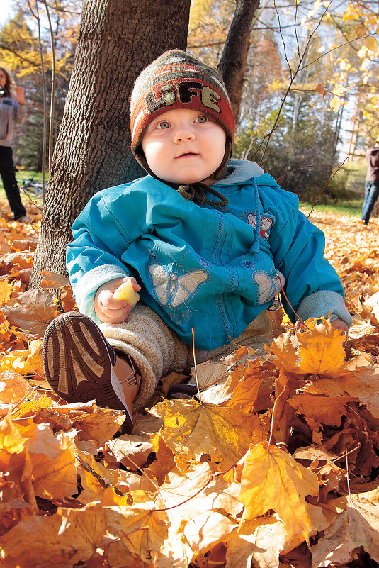 На ковре из желтых листьев - Сергей Черных