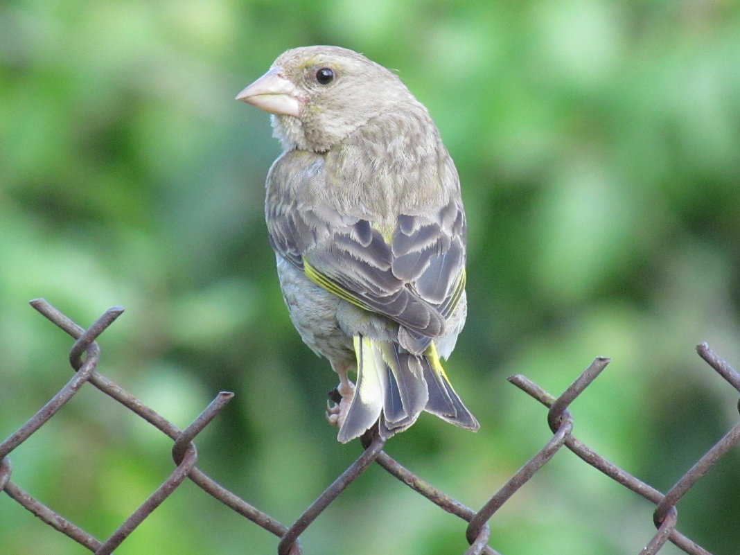 ... - АннА ВикторовнА КлючниК