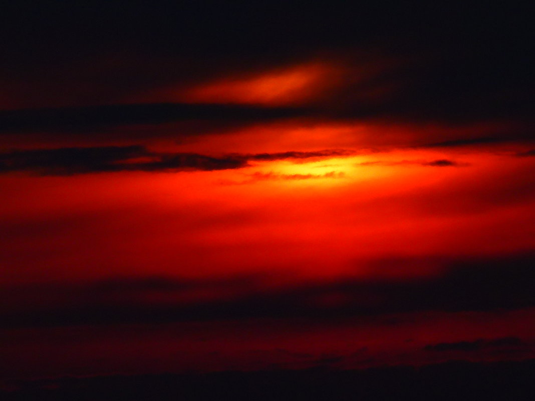 ... - Виктор Мозгунов