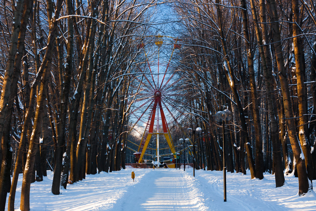 В старом парке - Сергей 