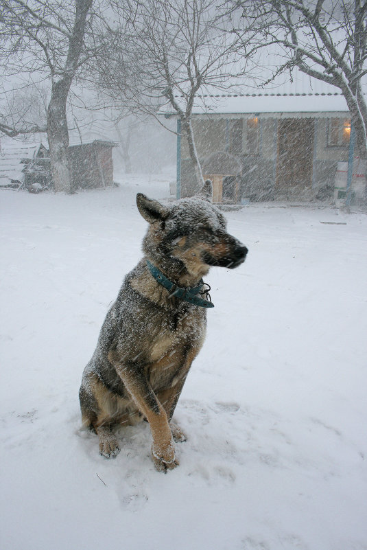 ...В любую погоду - Vladimir Bilyuk 
