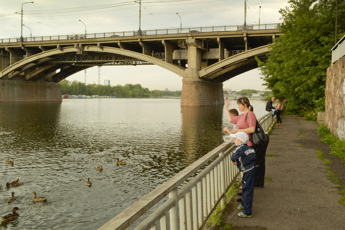Покорми уток... - Валентин Жеребятников