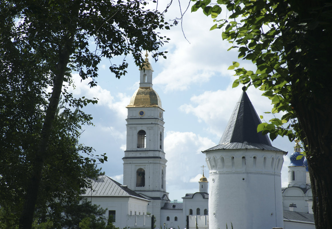 ... - Алексей Дворцов