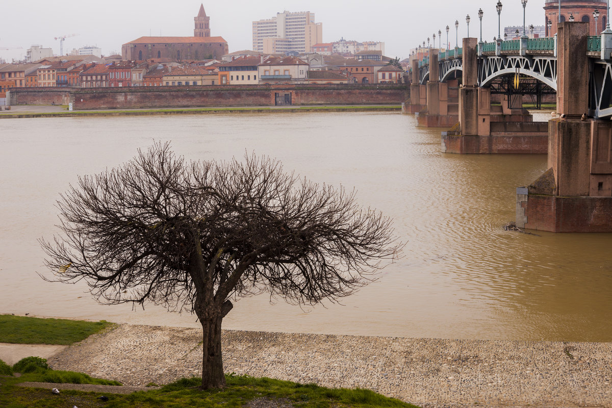 ... - Елена Новгородцева
