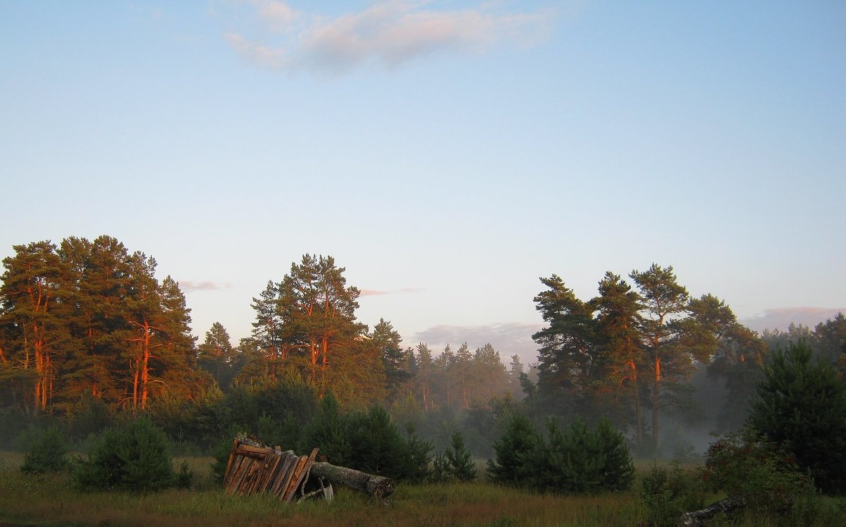 После дождя - Людмила Быстрова