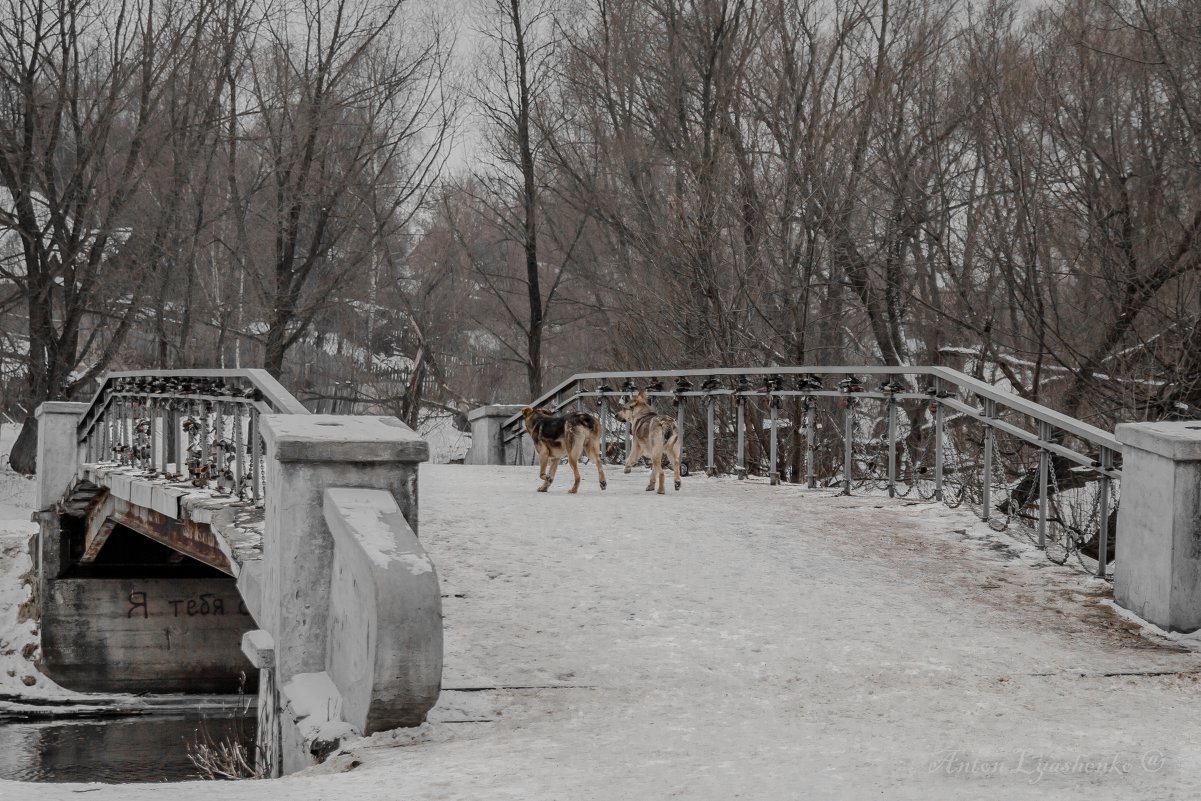 Сладкая парочка - toto44 *