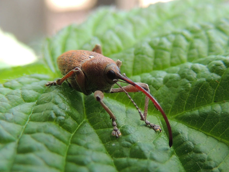 ... - Алексей Гладышев