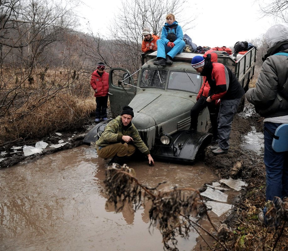 ... - Аля Бирюза