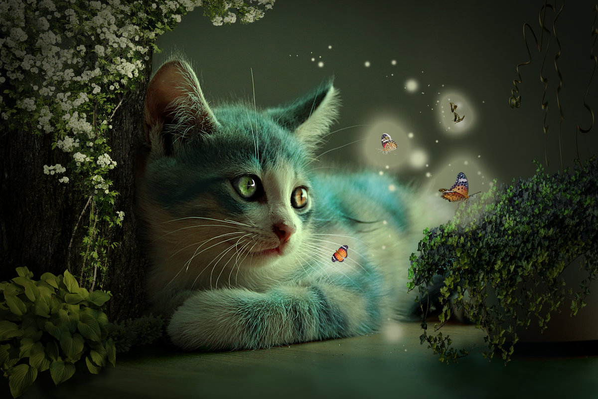 Чеширский кот - Галина Куля