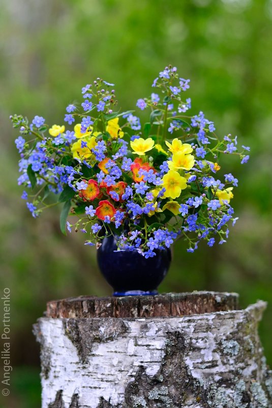 Дачный букетик - Lik Nik