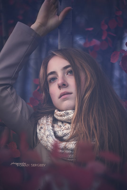 Осенним вечером - Roman Sergeev Осенним вечером - Roman Sergeev