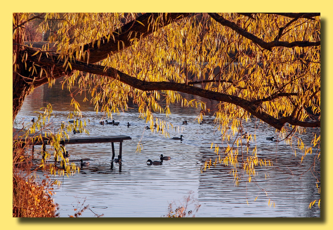 В парке - Виктор Истомин