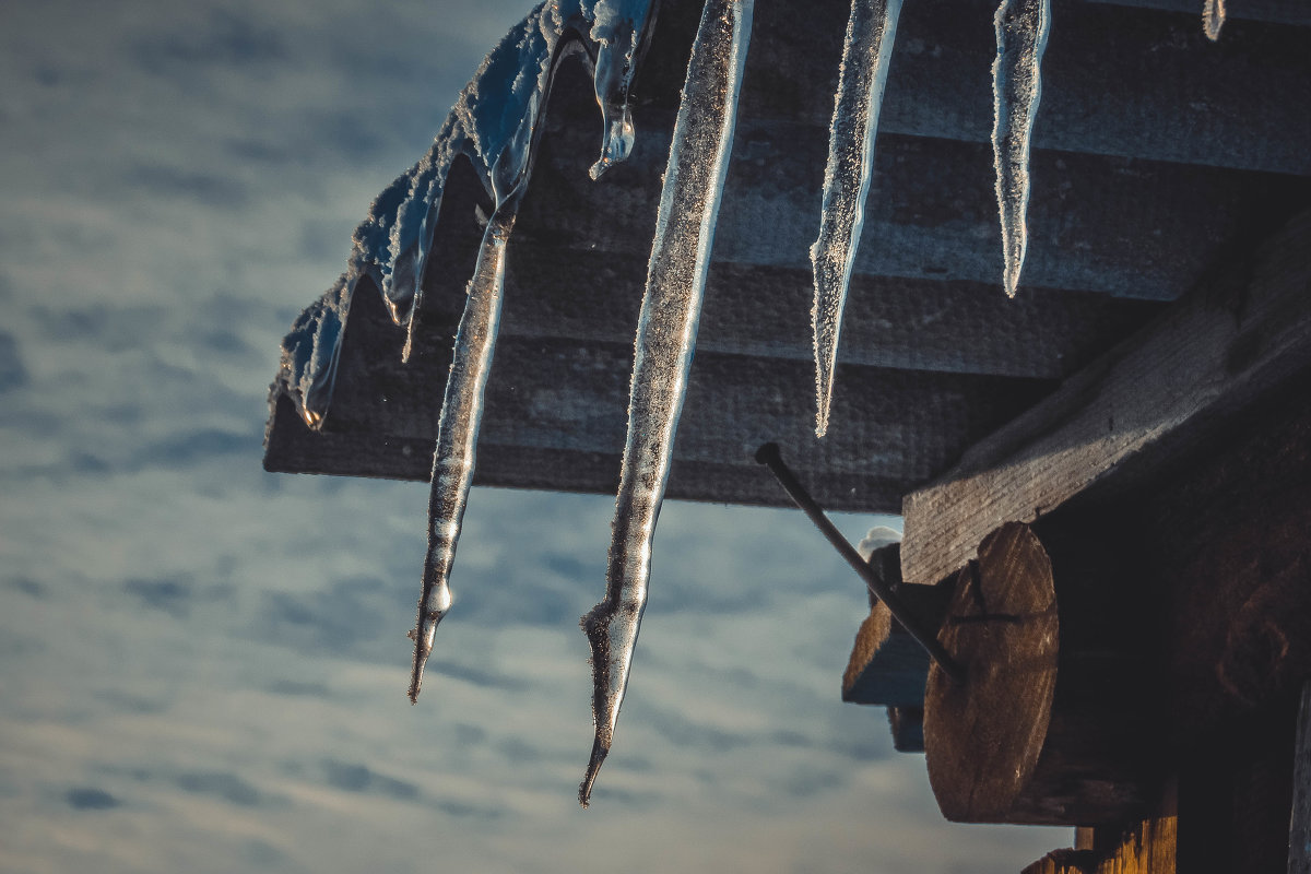 зимнее утро - Татьяна Сапун