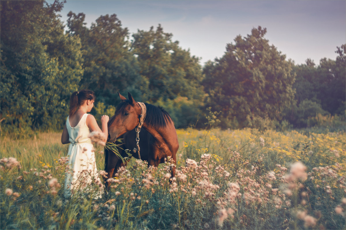 ВЕЧЕР АВГУСТА - Алексей Фотограф Михайловка